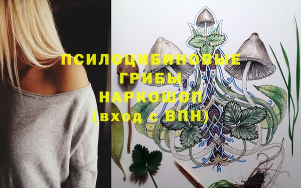 ешки Алексеевка