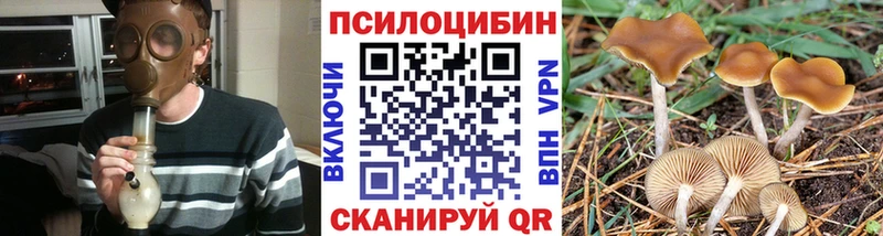 KRAKEN маркетплейс  Краснообск  Галлюциногенные грибы мицелий 